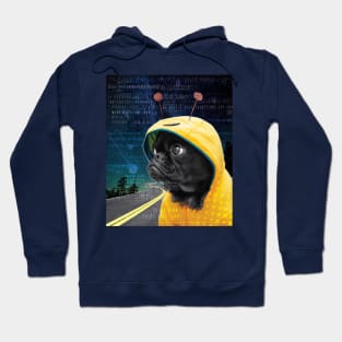 Space Pug Hoodie